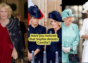 Did You Know? Princess Sophie Is Said to Be the Shield Princess Diana Left Behind for William’s Family