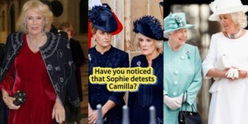 Did You Know? Princess Sophie Is Said to Be the Shield Princess Diana Left Behind for William’s Family