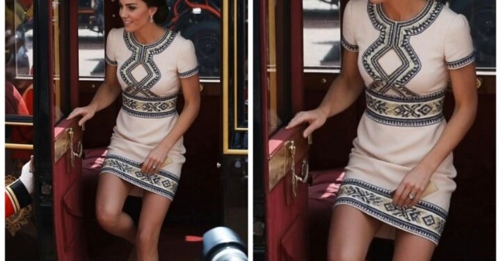 Princess Catherine’s Timeless Royal Fashion Moment That Captivated the Crowd