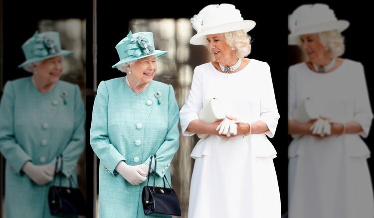 Did You Know? Princess Sophie Is Said to Be the Shield Princess Diana Left Behind for William’s Family